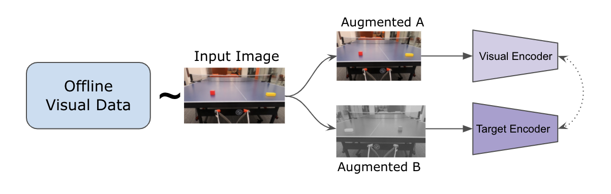 Stage 1: Self-Supervised Learning with BYOL