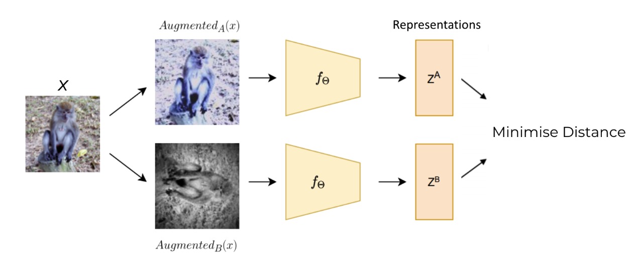 Self Supervised Learning